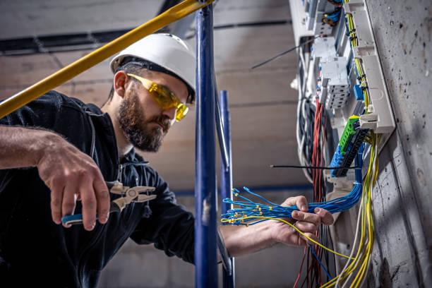 Best Electrical Upgrades for Homes  in Zapata, TX